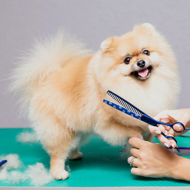 placeholder image box