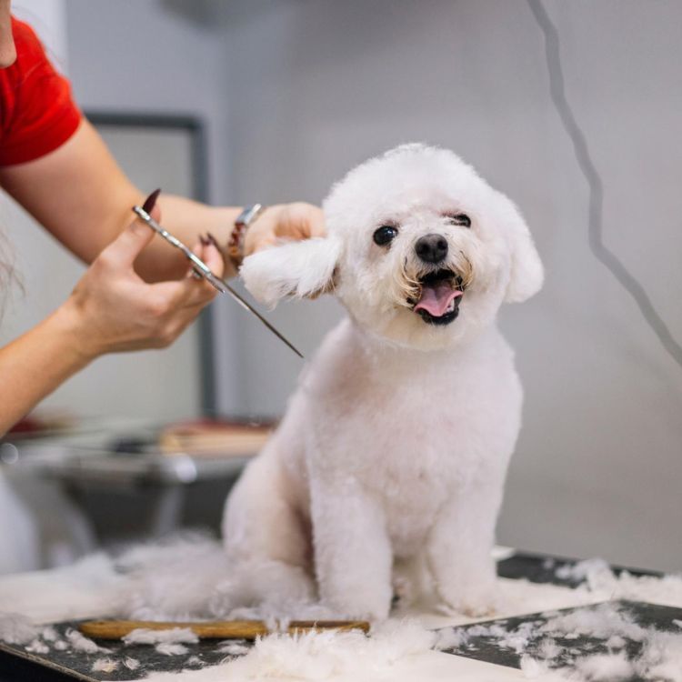 placeholder image box