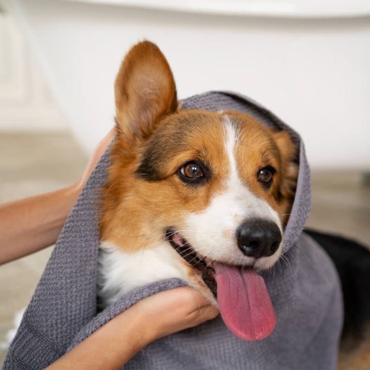 placeholder image box